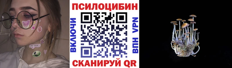 Галлюциногенные грибы Cubensis Острогожск